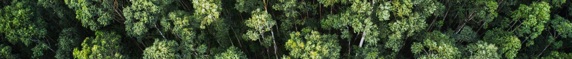 sustentável_planete