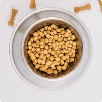 Pet Food